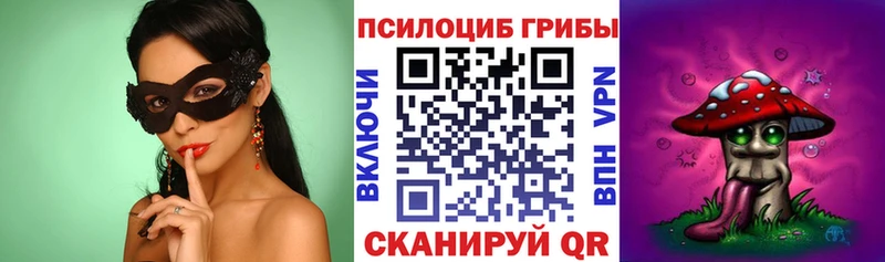 Псилоцибиновые грибы Psilocybine cubensis  Сафоново 